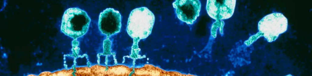 Oh, benvinguts, passeu passeu